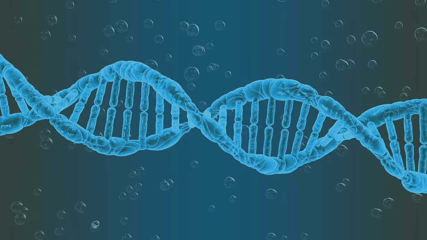 651acafbfa7114a54908f55b_lupus-genetics